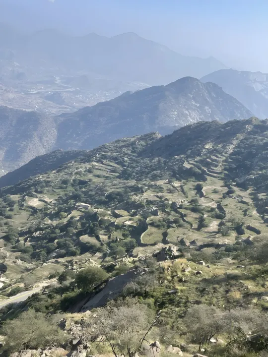 Park view 2