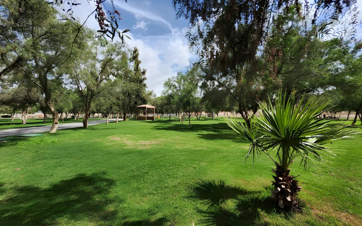 Park view 1