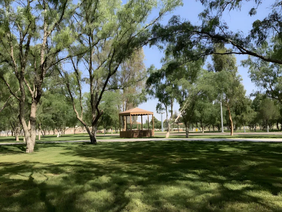 Park view 2