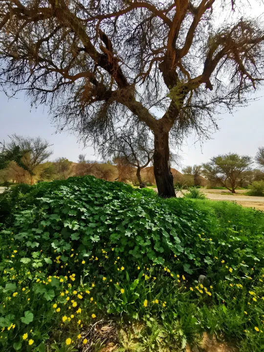 Park view 4