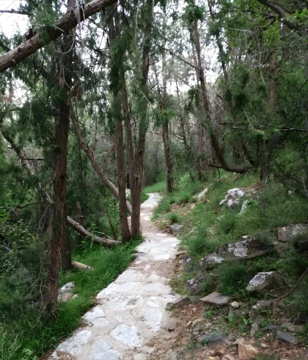 Park view 5