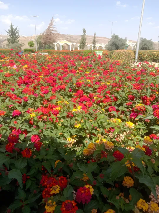 Park view 7