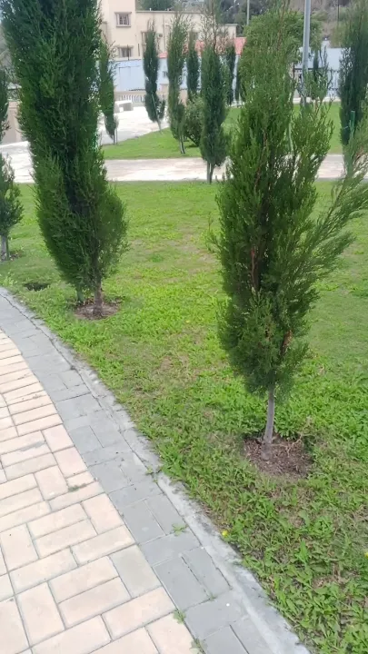 Park view 10