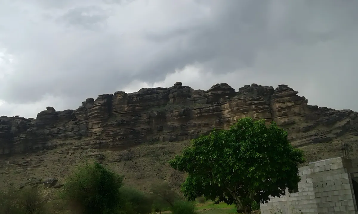 Park view 9