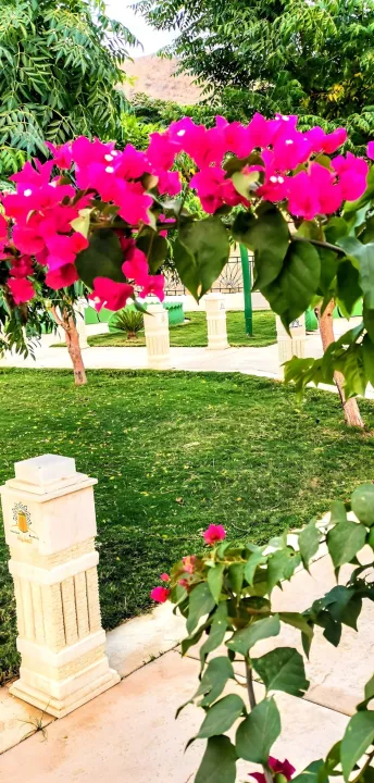 Park view 11