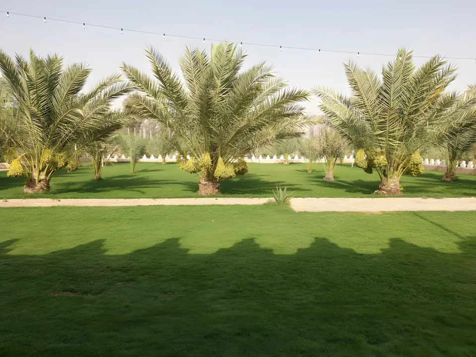 place