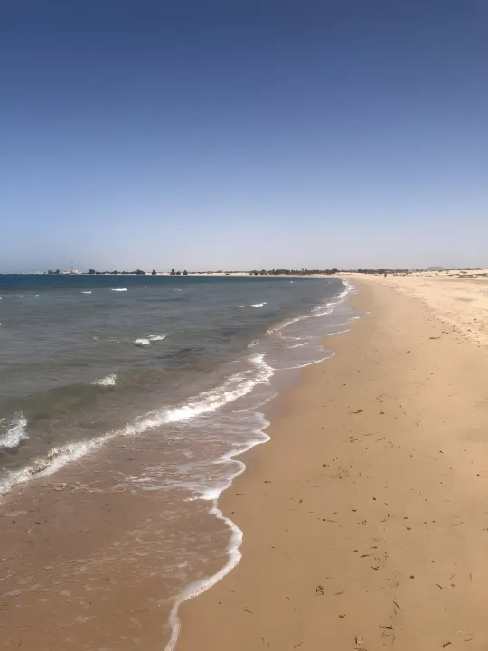 Park view 5