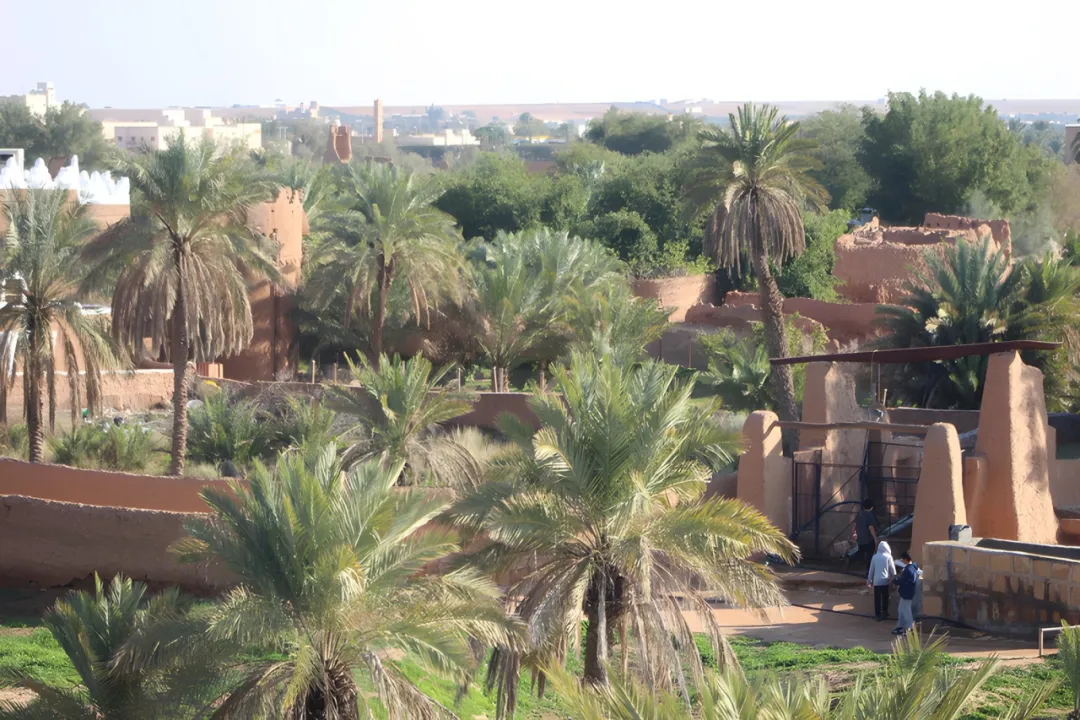 Park view 5