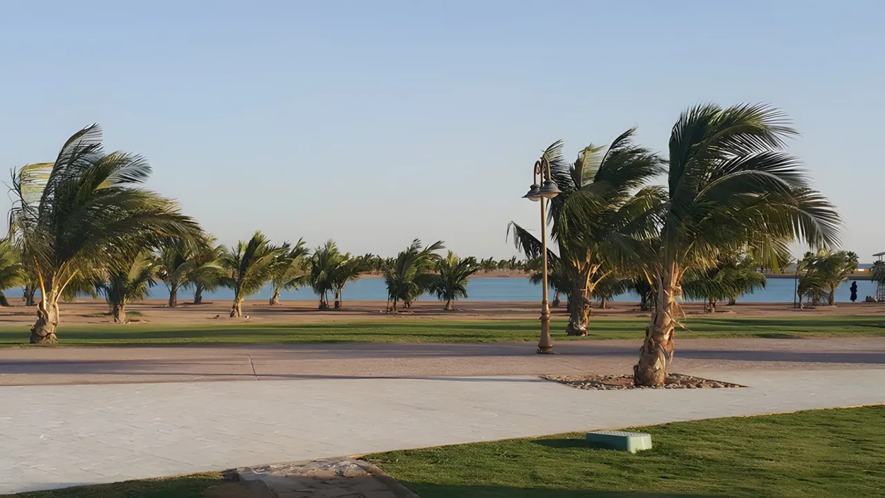 Park view 7
