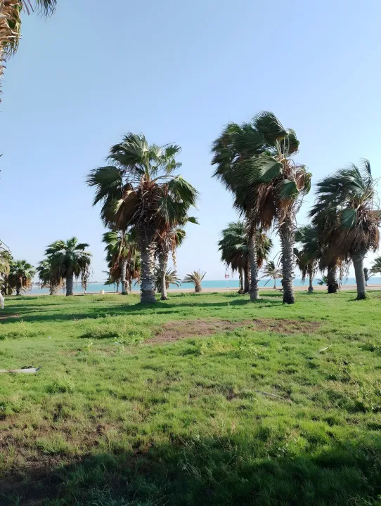Park view 8