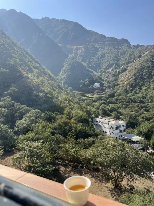 Park view 2