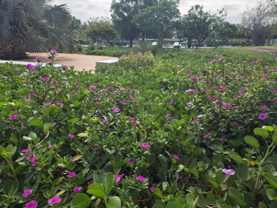 Park view 13