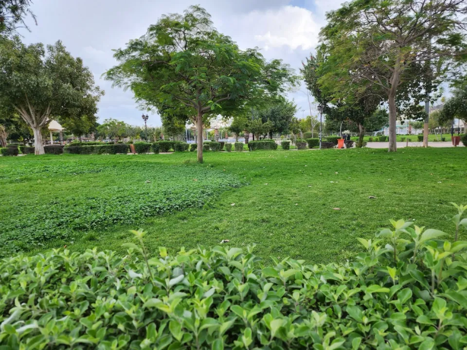 Park view 12