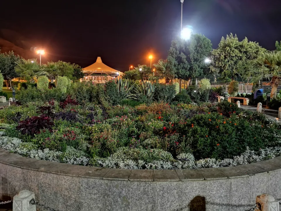 Park view 13