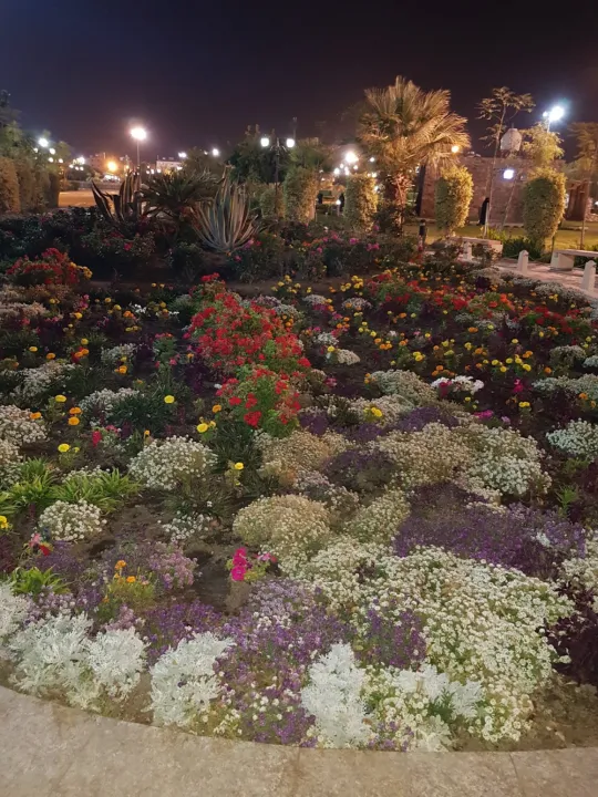 Park view 15