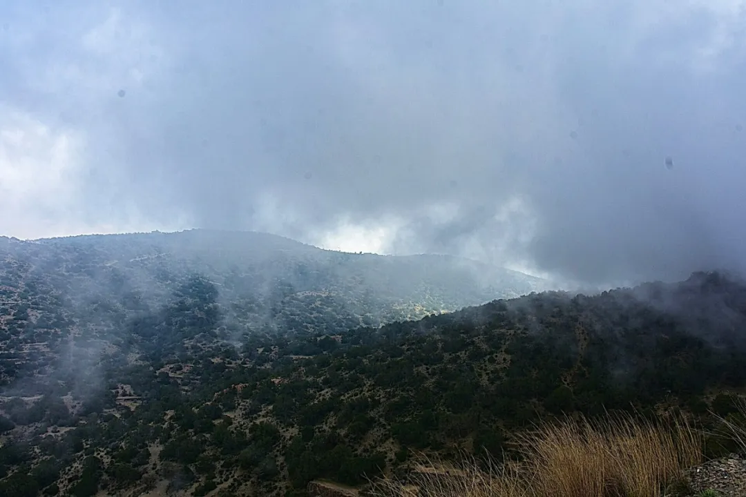 Park view 3