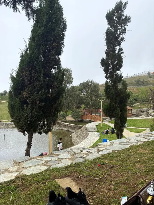 Park view 19