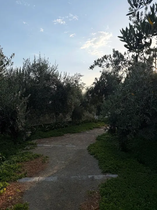 Park view 1
