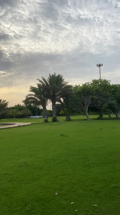 Park view 1