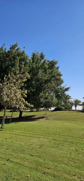 Park view 19