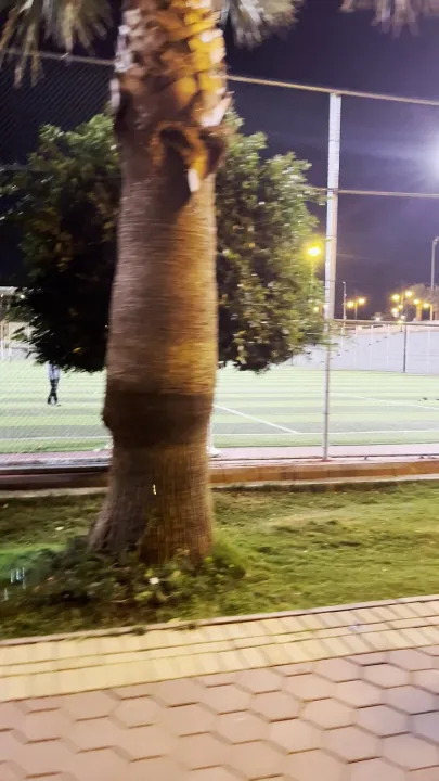 Park view 2