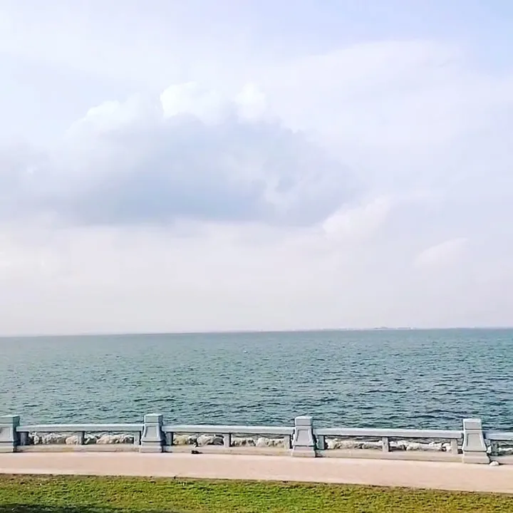 Park view 8