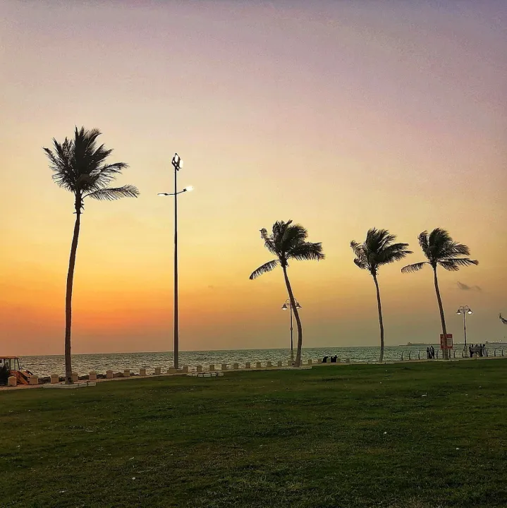Park view 2