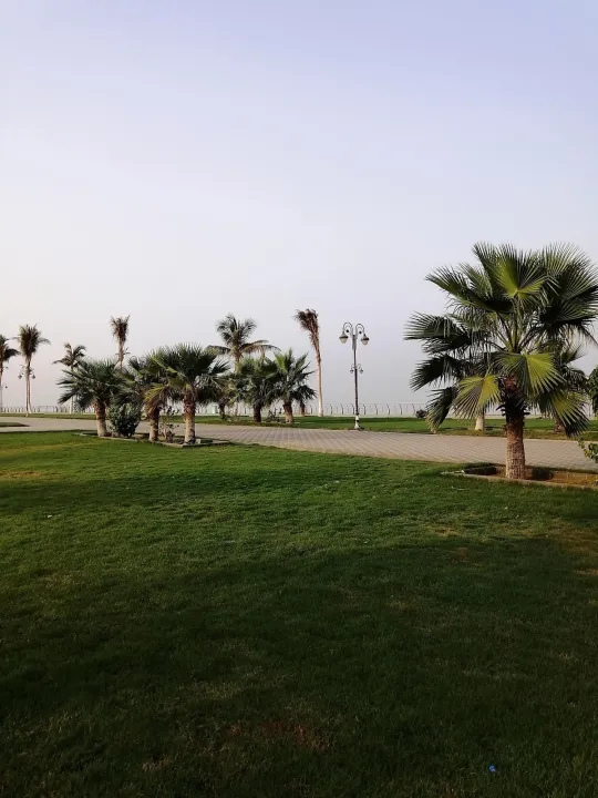 Park view 8