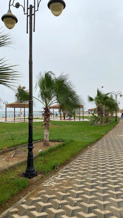 Park view 11