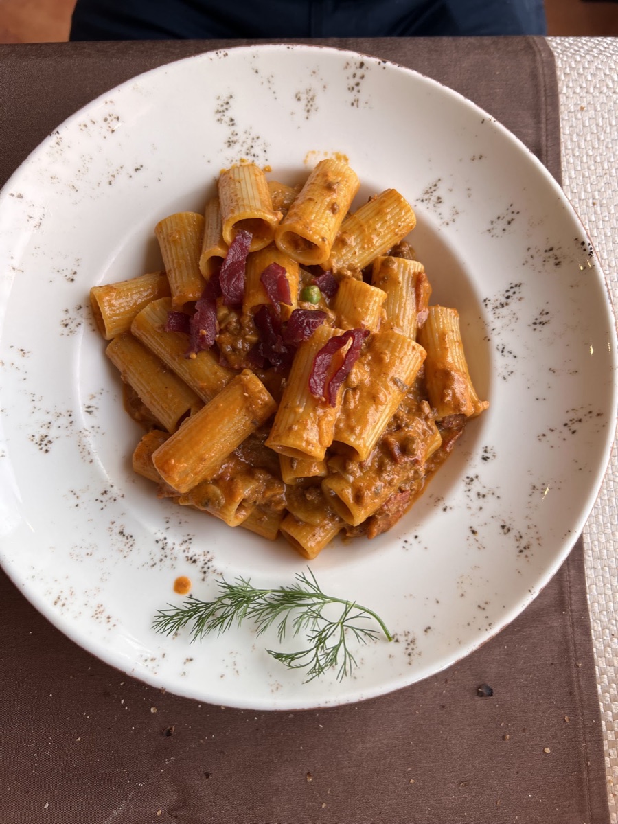 ريجاتوني جارناتشينا