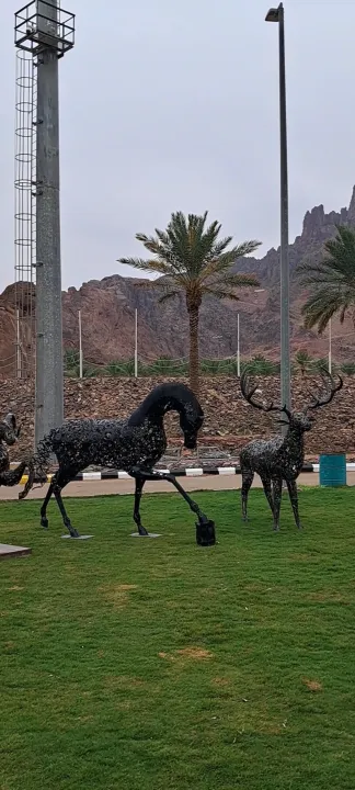 Park view 12