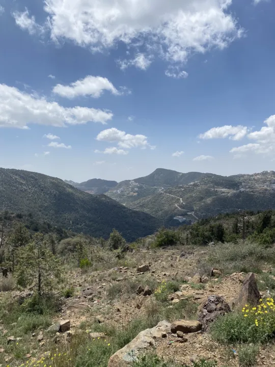 Park view 10