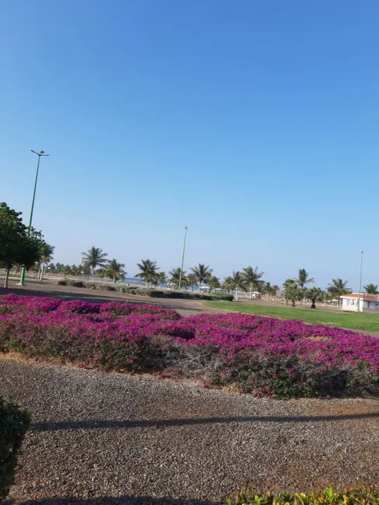 Park view 12