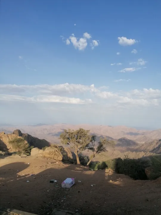 Park view 13