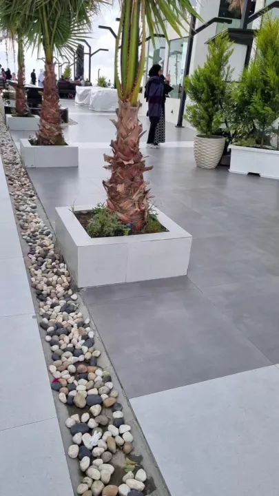 Park view 15