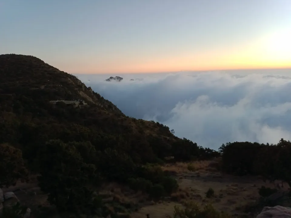 Park view 14