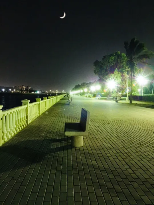 Park view 2