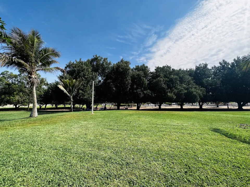 Park view 5