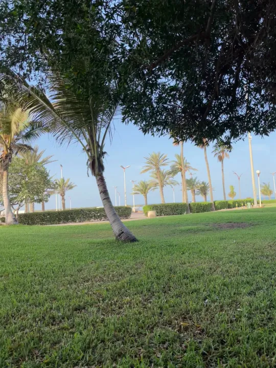 Park view 7
