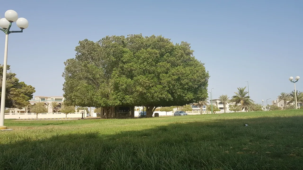 Park view 16