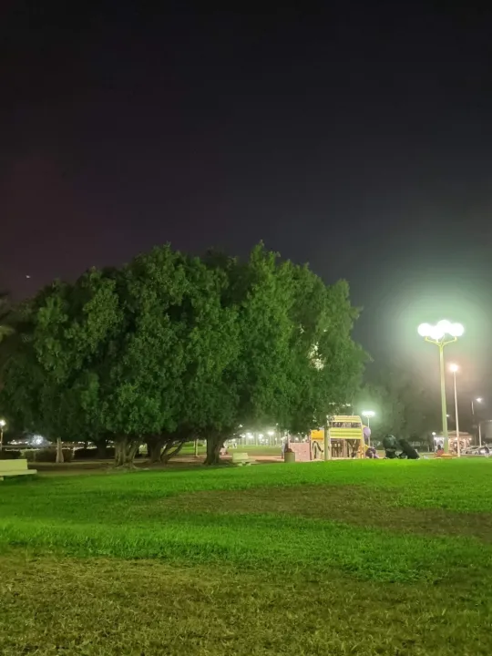 Park view 19