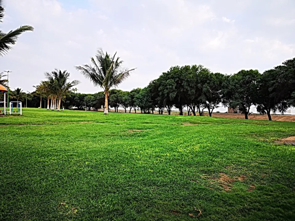 Park view 2