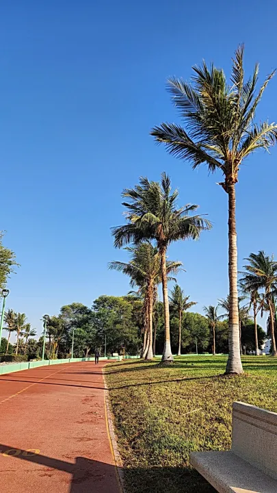 Park view 4