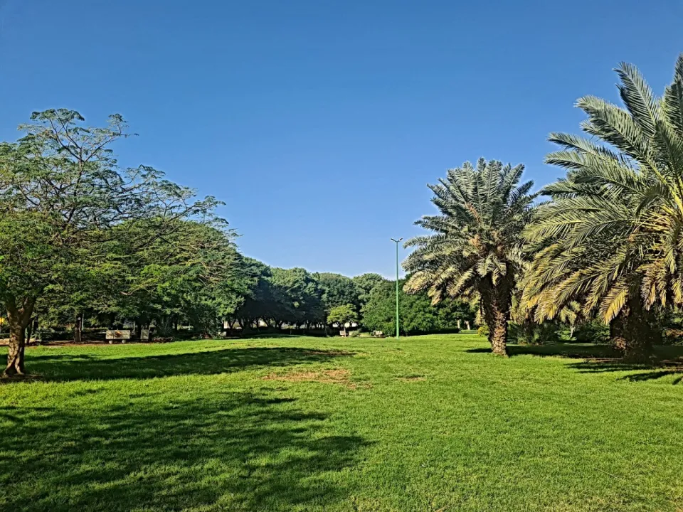 Park view 7