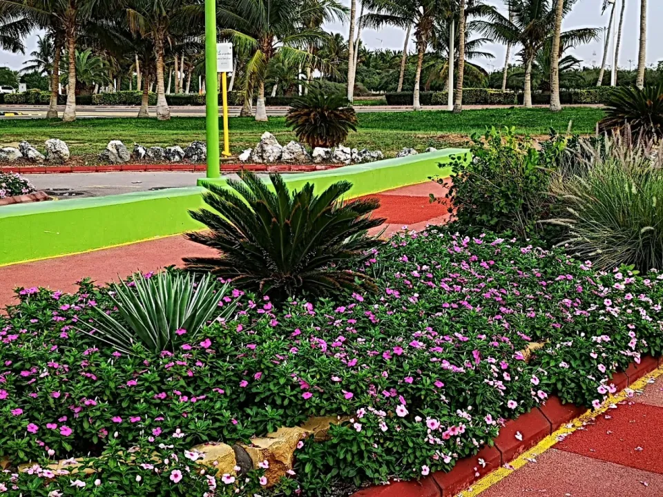 Park view 8
