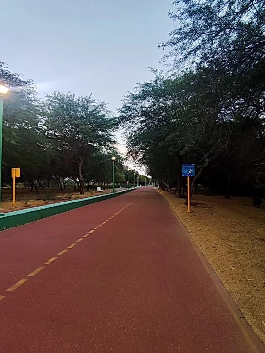 Park view 16