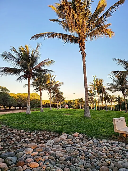 Park view 18