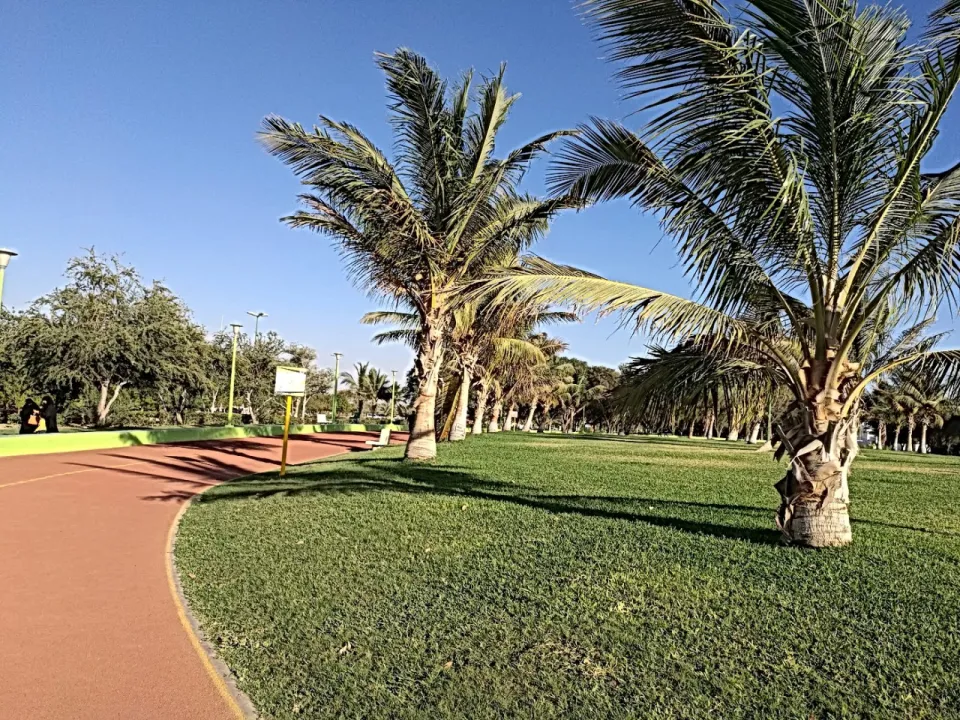 Park view 20