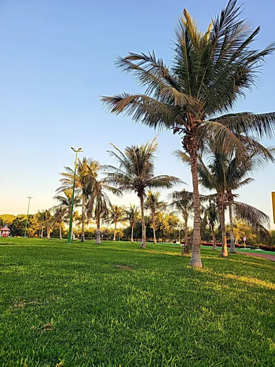 Park view 21