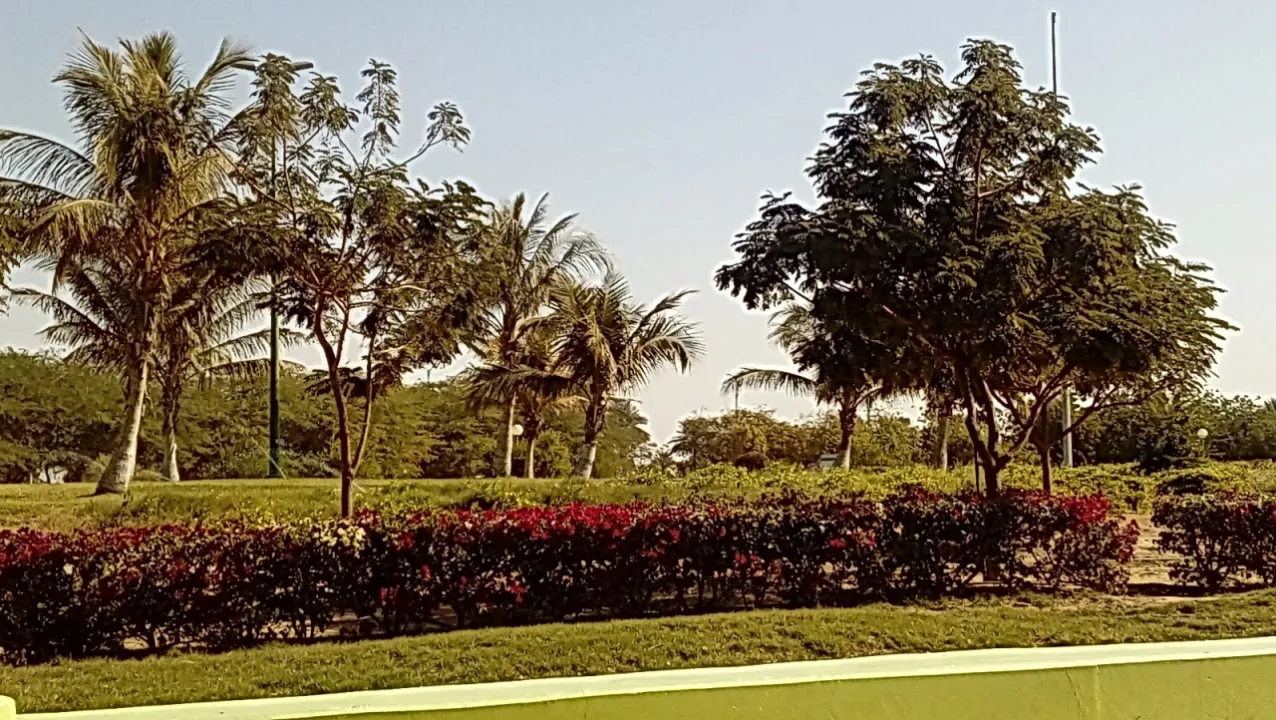 Park view 24